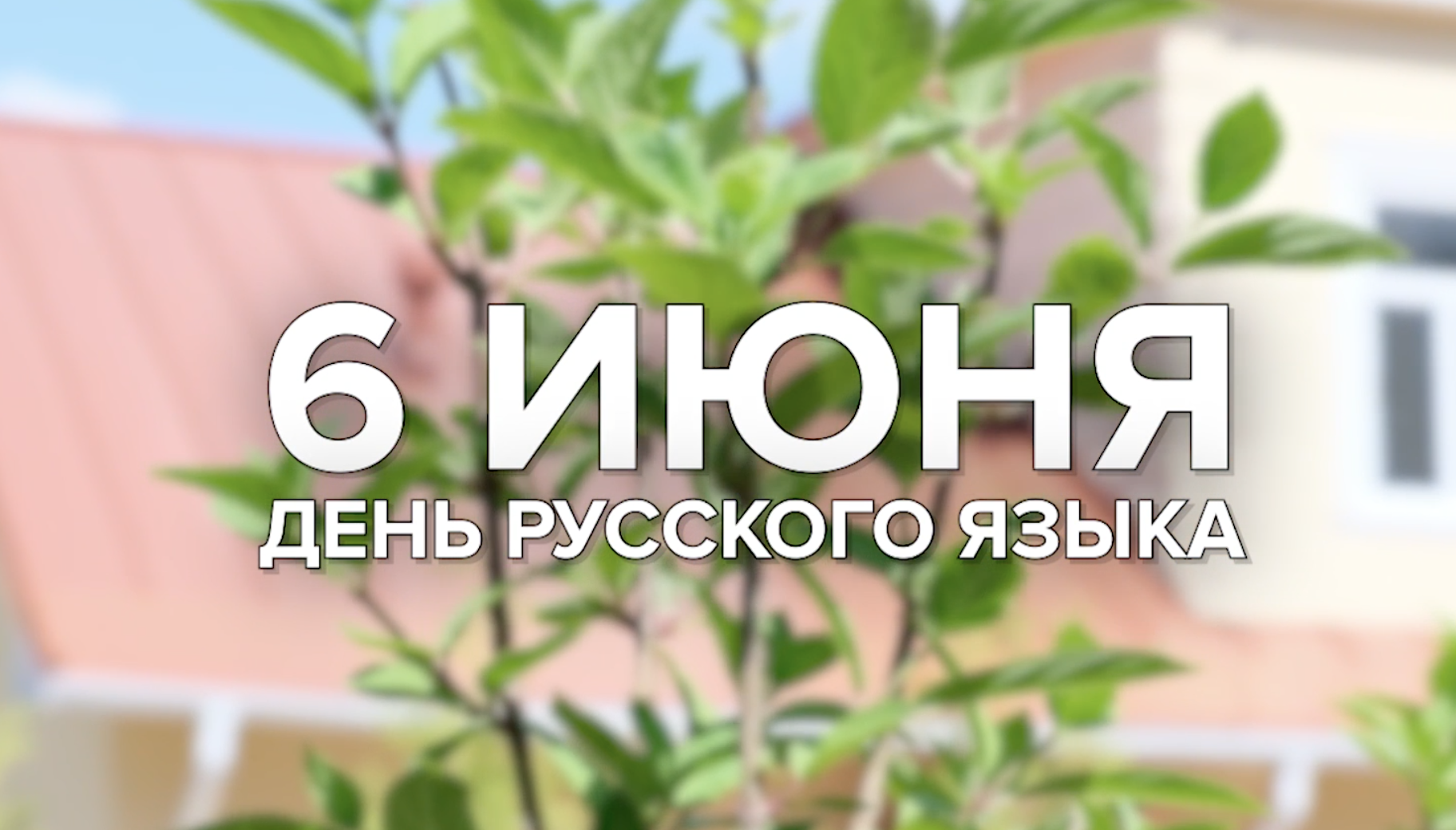 Иллюстрация: телеканал "Первый Псковский"