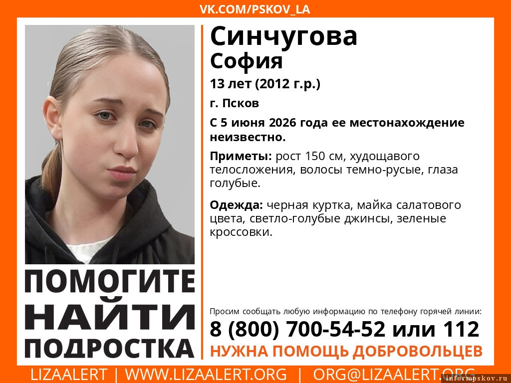 Изображение: поисковый отряд «ЛизаАлерт» Псковской области