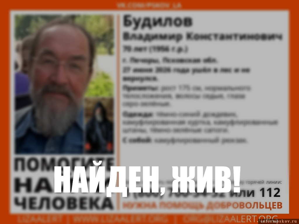  Изображение: поисковый отряд «ЛизаАлерт» Псковской области