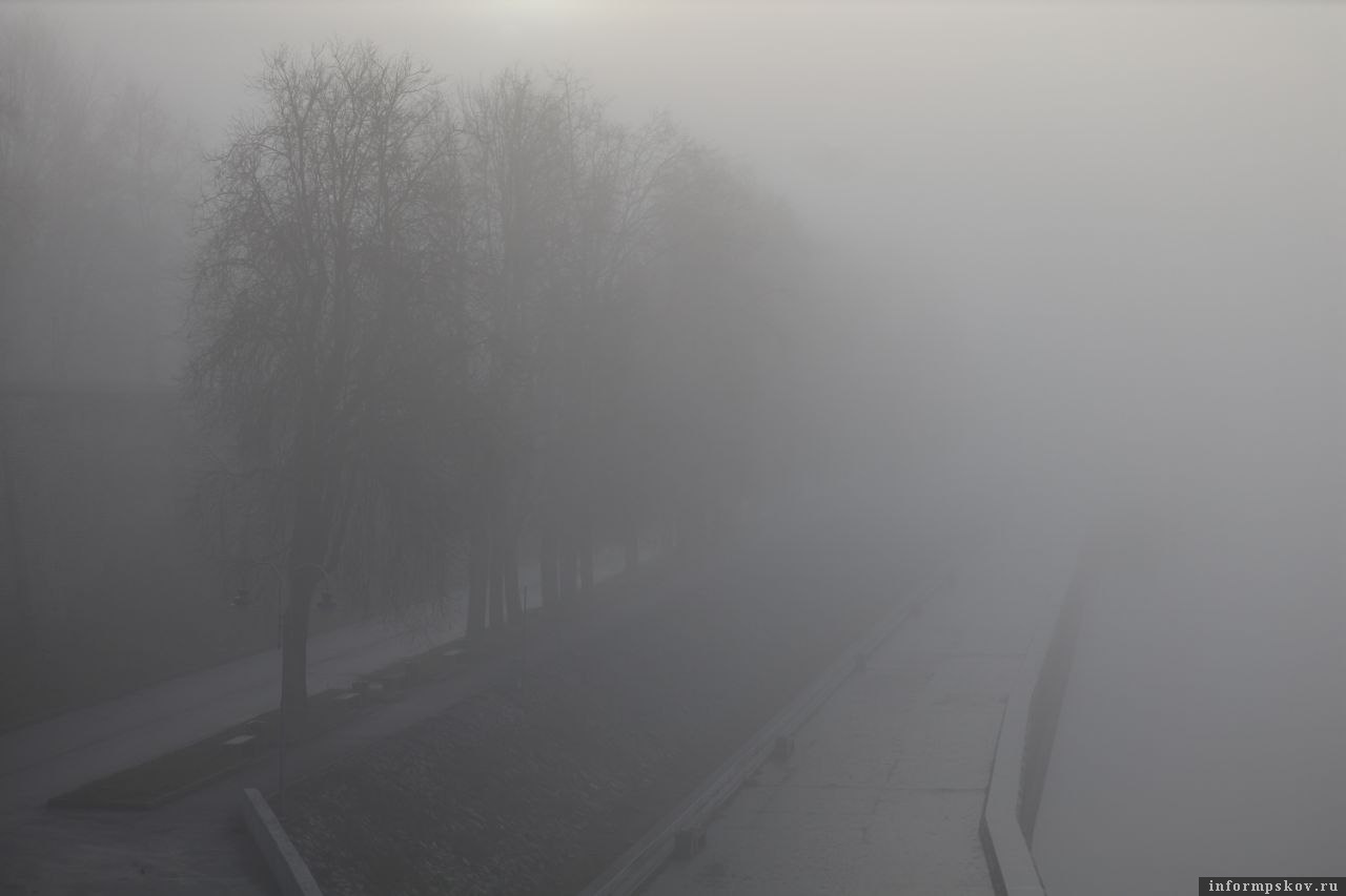 Фото: ПАИ