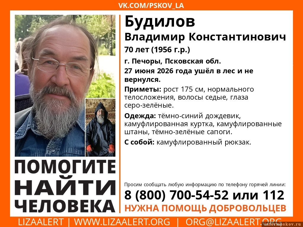 Изображение: поисковый отряд «ЛизаАлерт» Псковской области