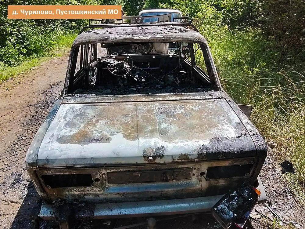 Фото: пресс-служба ГУ МЧС России по Псковской области