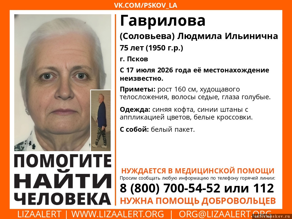 Изображение поискового отряда «ЛизаАлерт» Псковской области