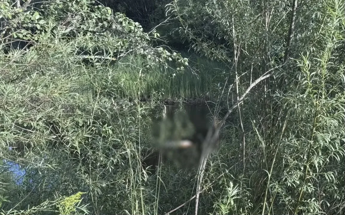 Фото: пресс-служба СУ СК России по Псковской области