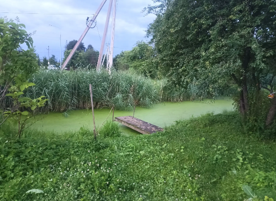 Фото: СУ СК РФ по Псковской области