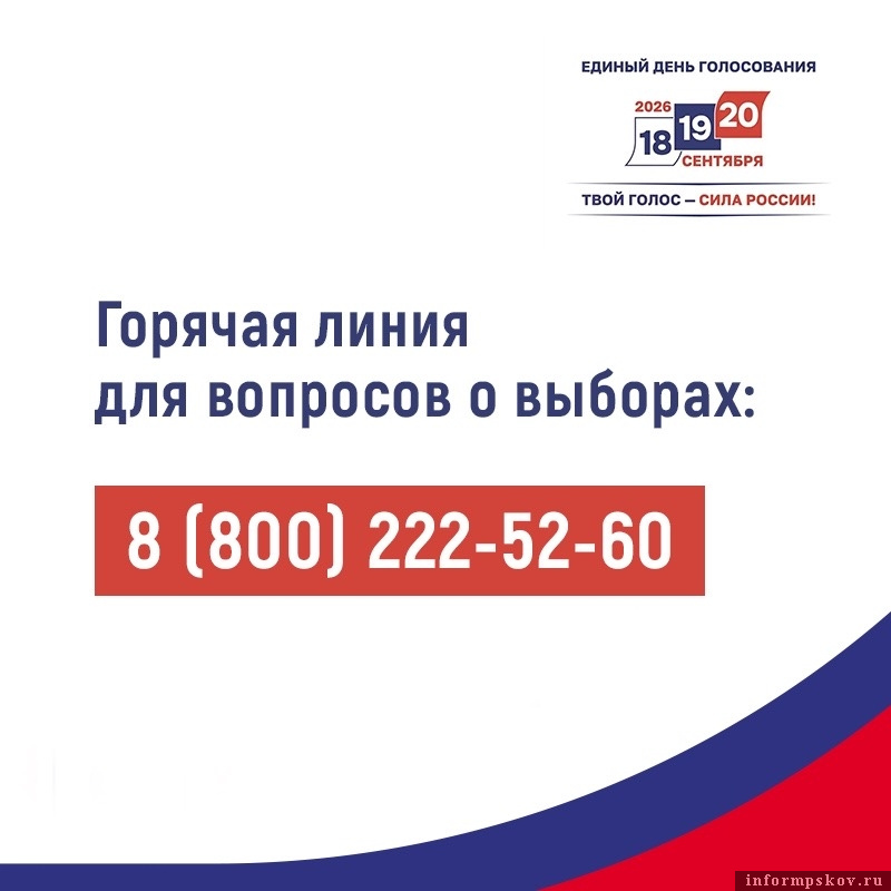 Изображение: избирательная комиссия Псковской области