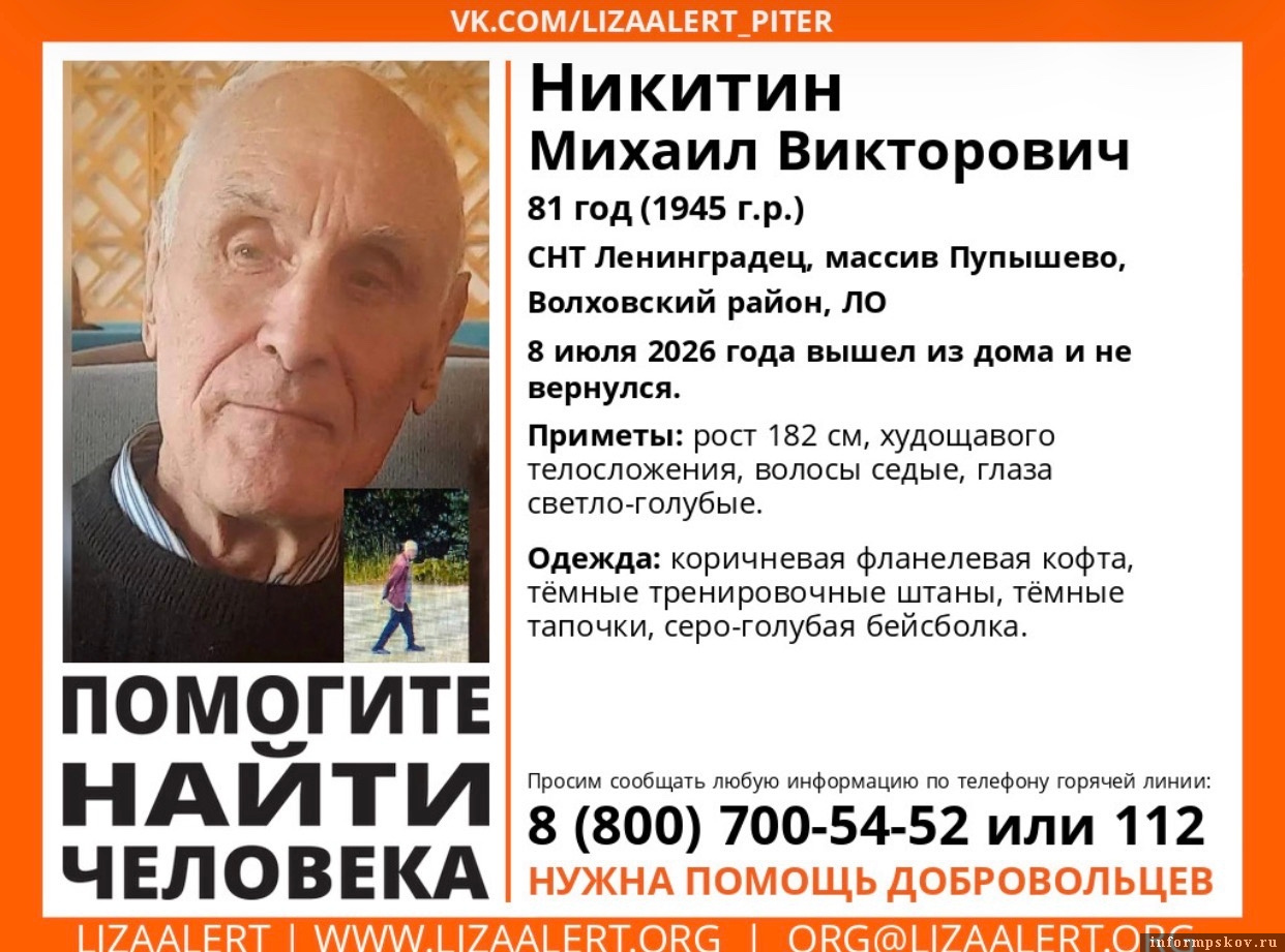 Изображение: поисковый отряд «ЛизаАлерт»