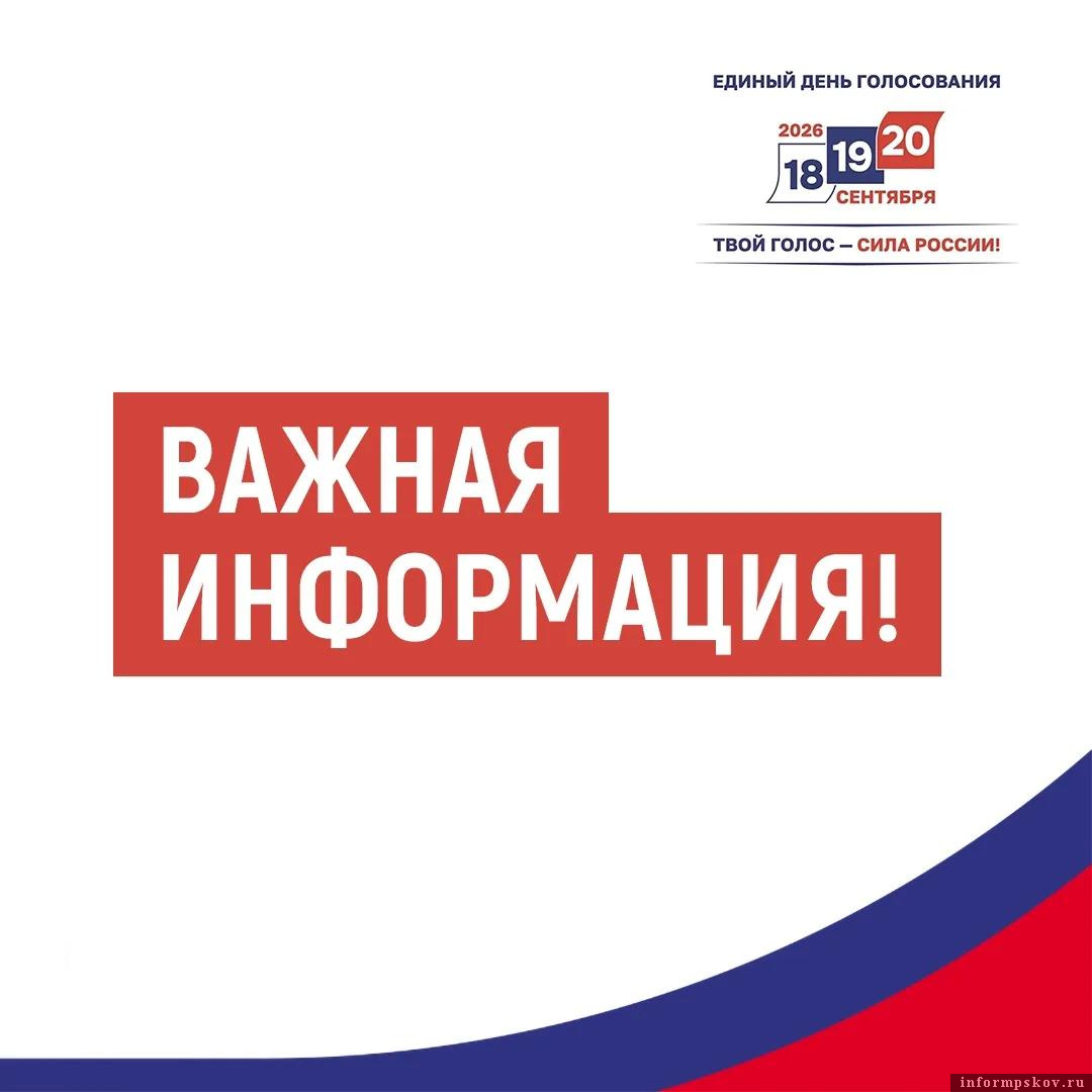 Изображение предоставили в избирательной комиссии Псковской области