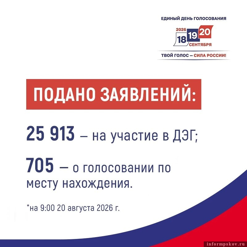 Изображение: избирательная комиссия Псковской области 