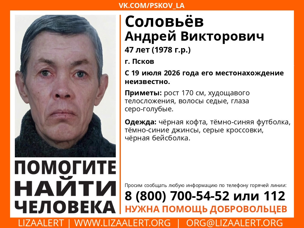 Изображение: поисковый отряд «ЛизаАлерт»