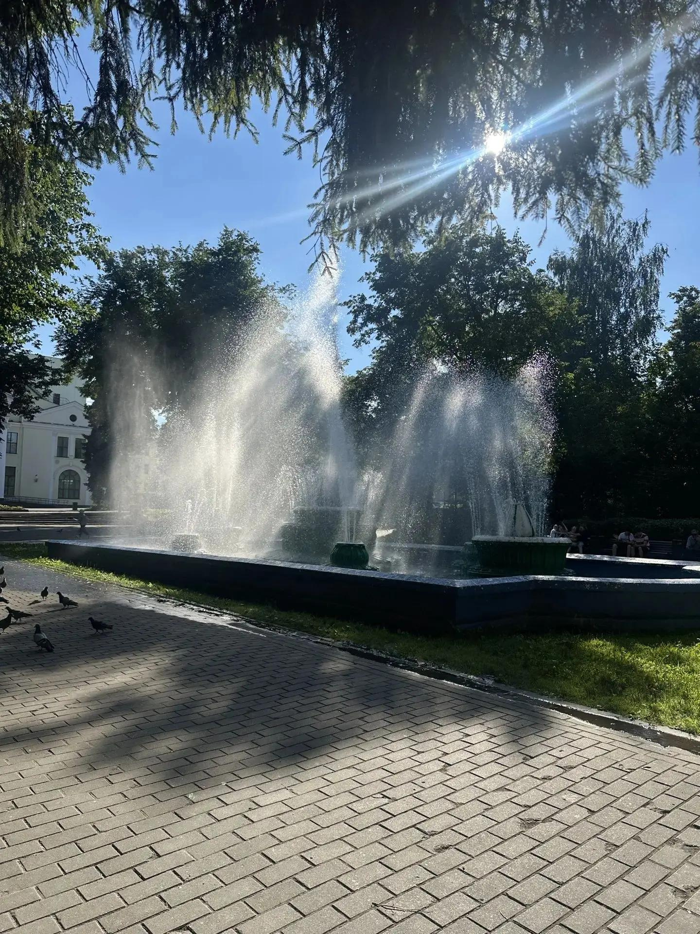 Фото из канала газеты «Великолукская Правда. Новости»
