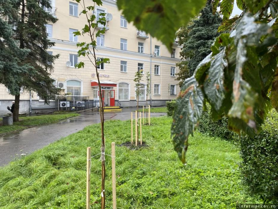 Фото: канал Бориса Елкина в мессенджере Max
