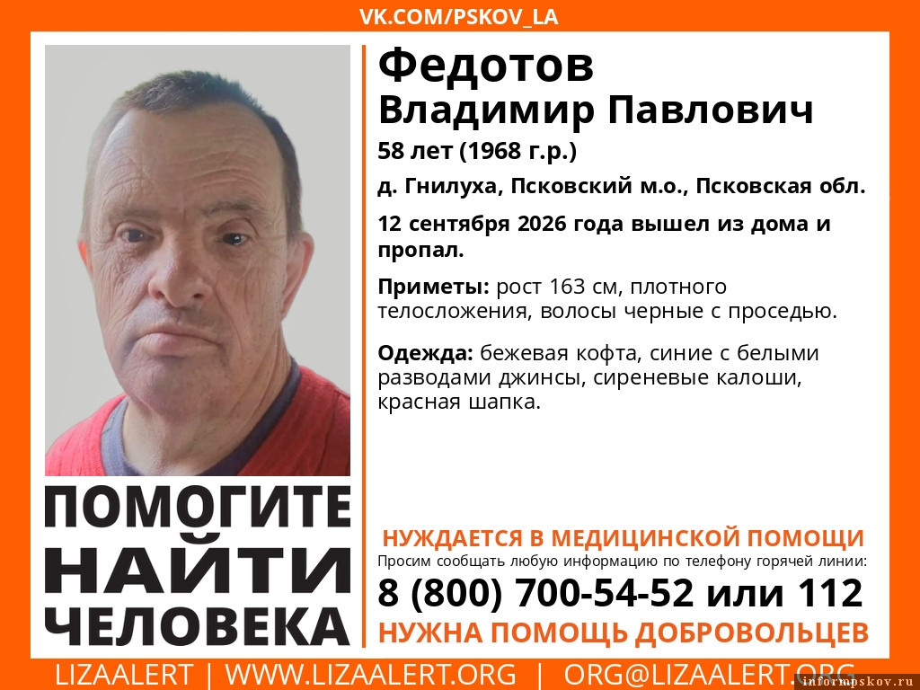 Изображение предоставлено поисково-спасательным отрядом «ЛизаАлерт» в Псковской области