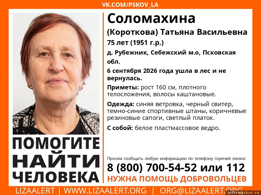 Изображение: поисковый отряд «ЛизаАлерт»