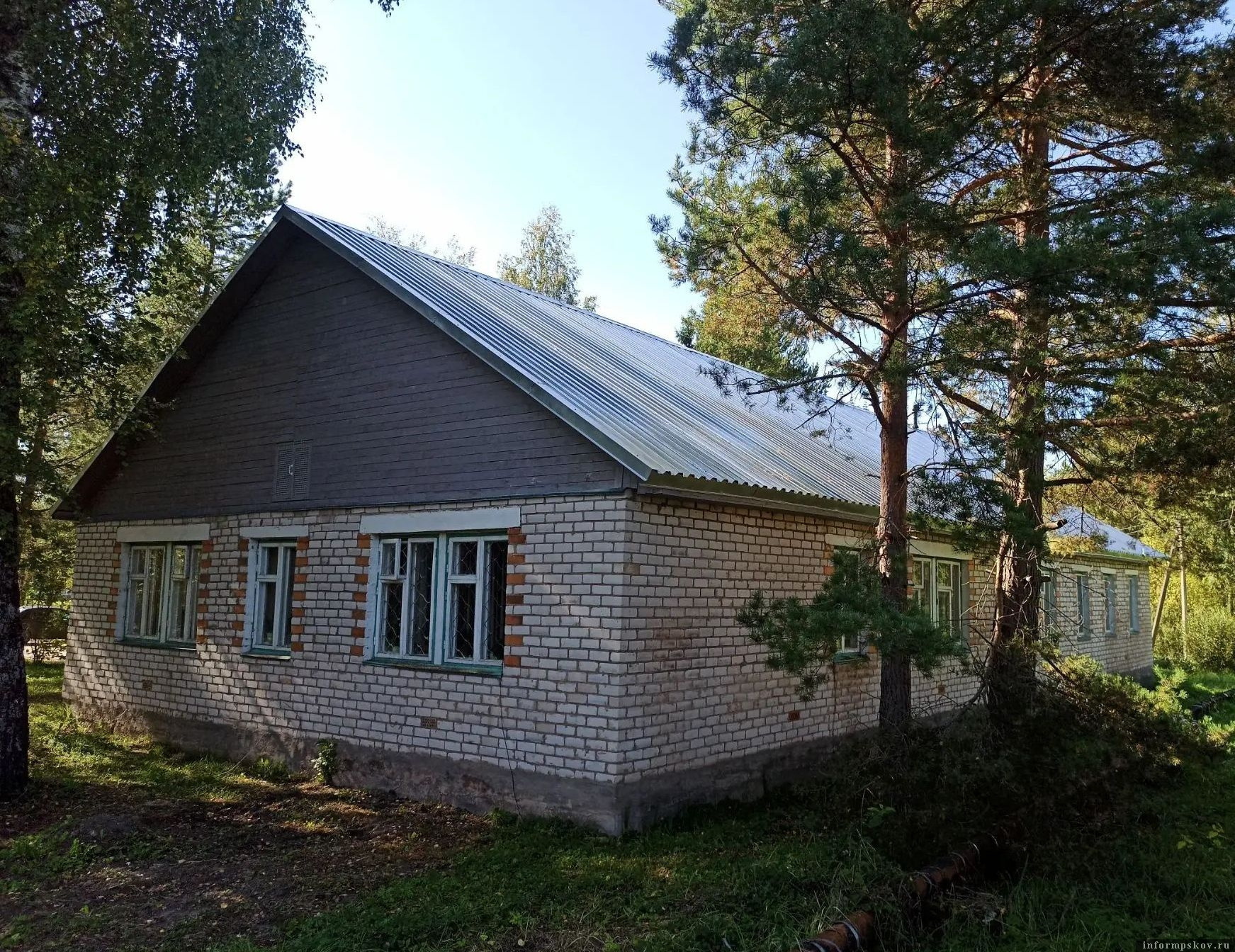Фото: комитет по ветеринарии Псковской области