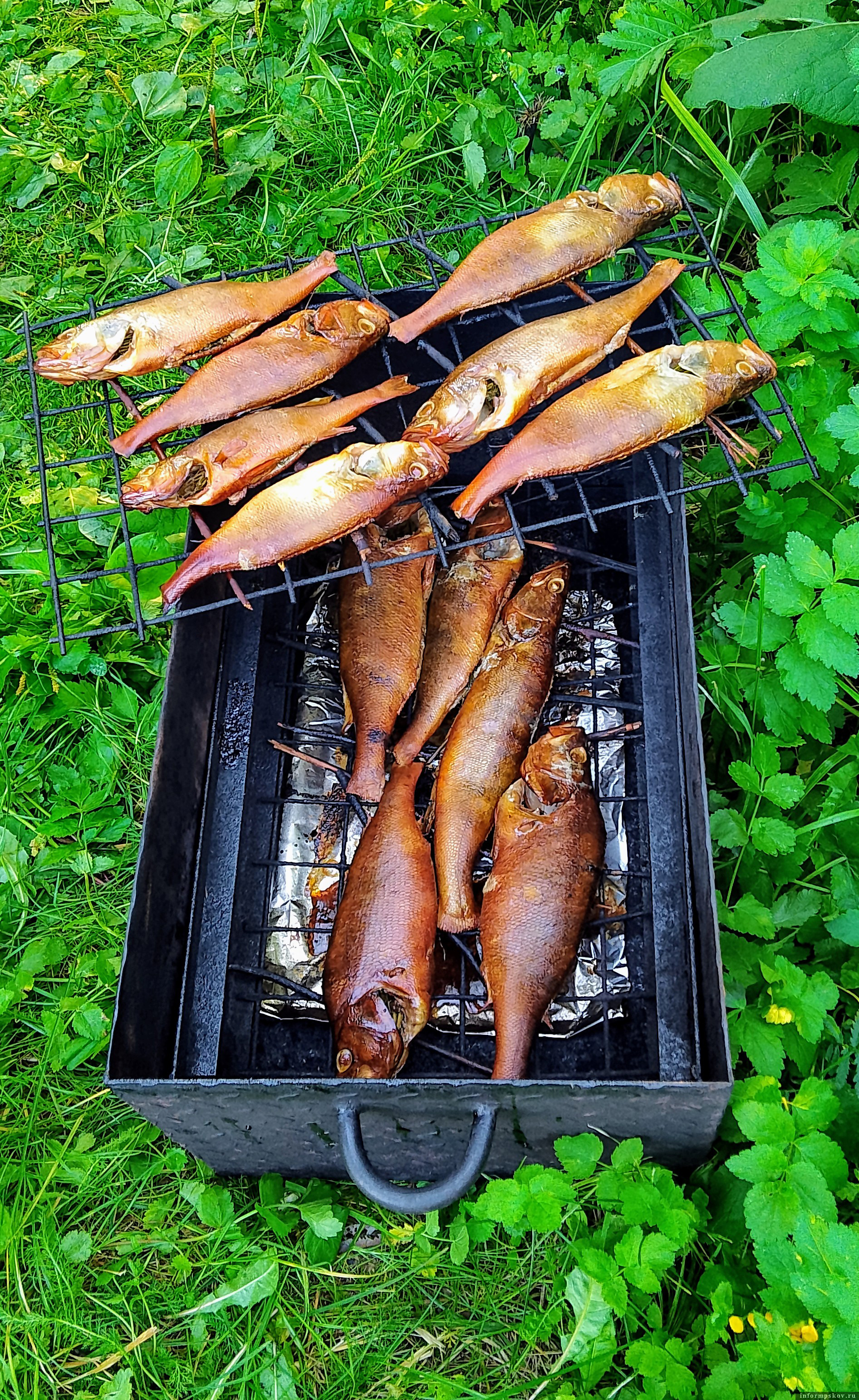 Копчёный чудской окунь – очень вкусный