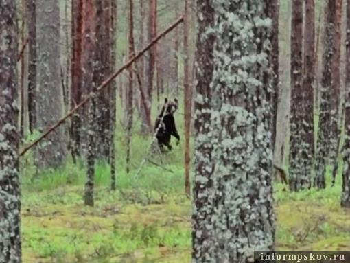 Скриншот из видеозаписи Анны Пшеницыной. Носит иллюстративный характер