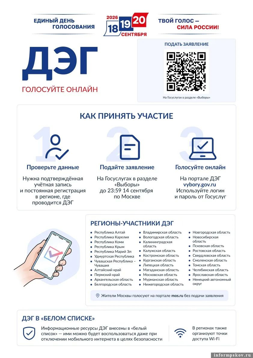 Изображение из канала избирательной комиссии Псковской области в MAX