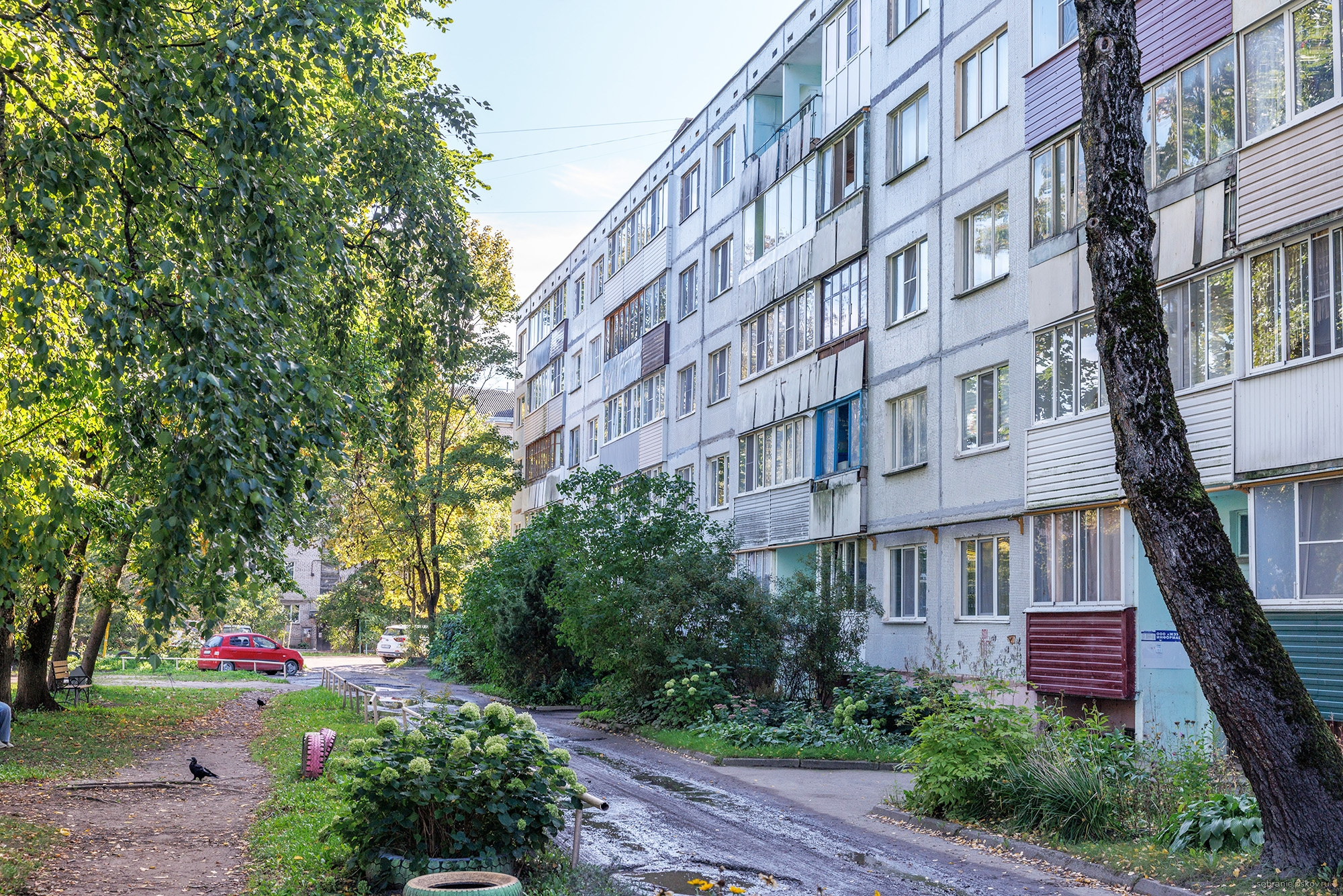 Фото здесь и далее: пресс-служба Заксобрания Псковской области