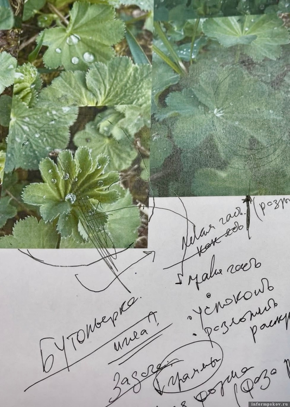 Фото: группа усадьбы Ореховно