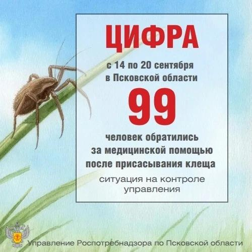 Изображение из канала Управления Роспотребнадзора по Псковской области в мессенджере MAX