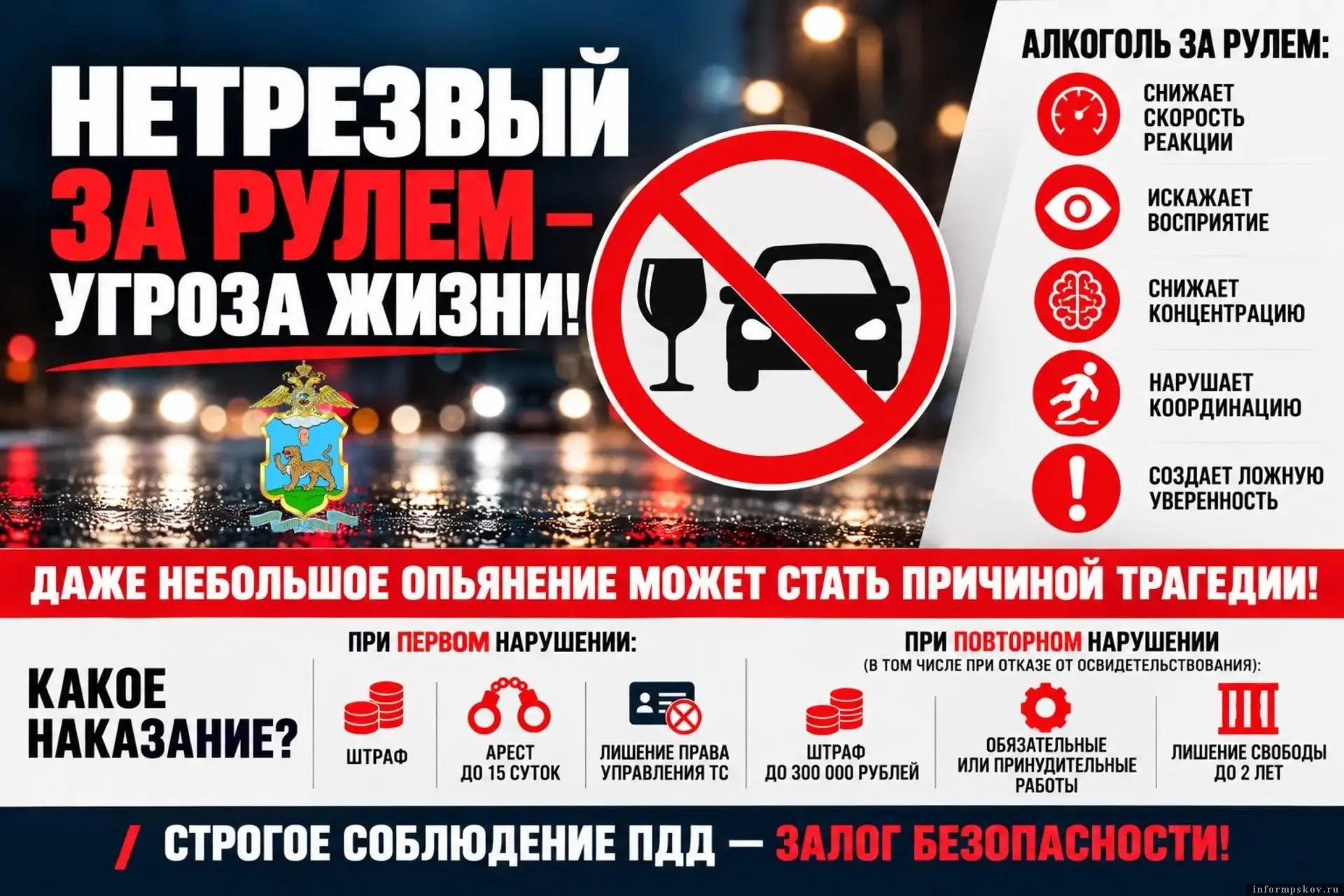 Изображение: пресс-служба УМВД России по Псковской области
