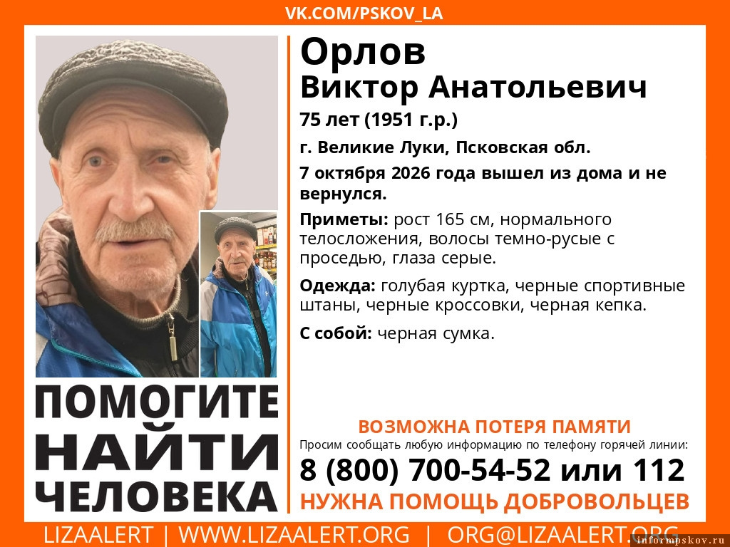 Изображение: группа поискового отряда «ЛизаАлерт» в соцсети «ВКонтакте»