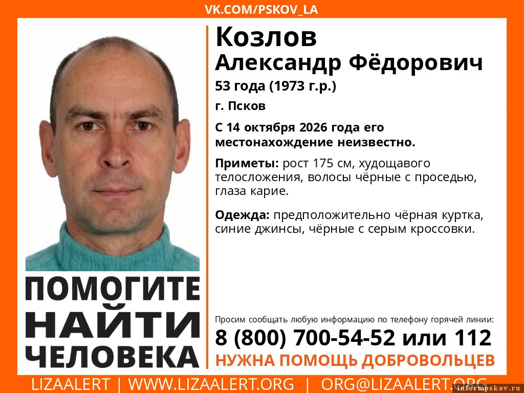 Изображение поискового отряда «ЛизаАлерт» в Псковской области