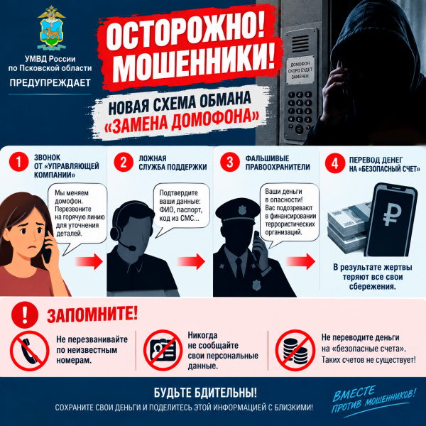 Иллюстрация: пресс-служба УМВД России по Псковской области