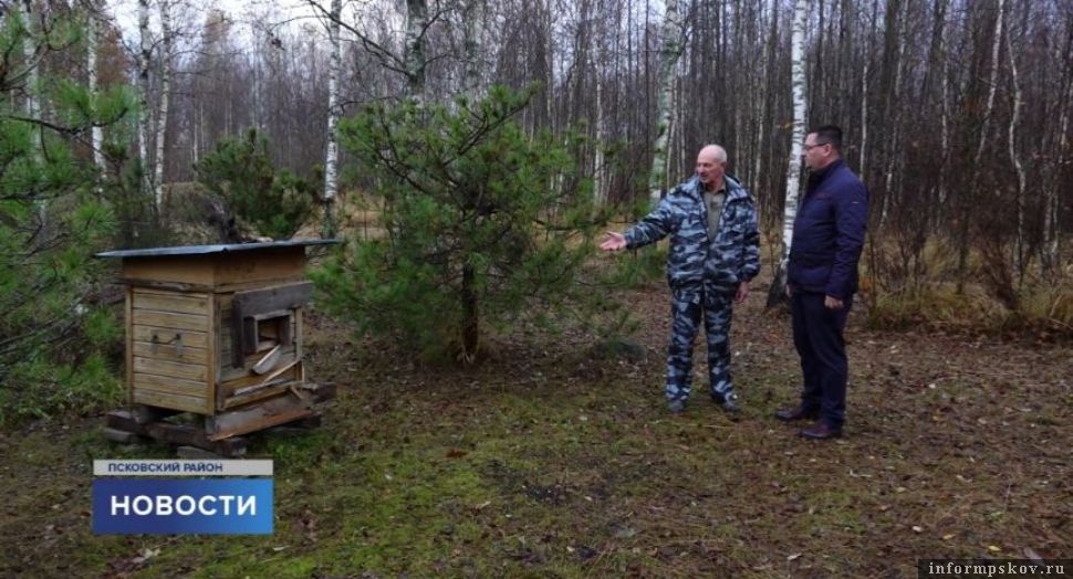 Скриншоты здесь и далее: телеканал «Первый Псковский»