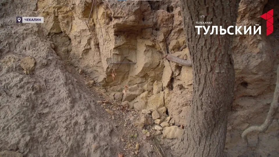 Фото предоставил телеканал «Первый Тульский»