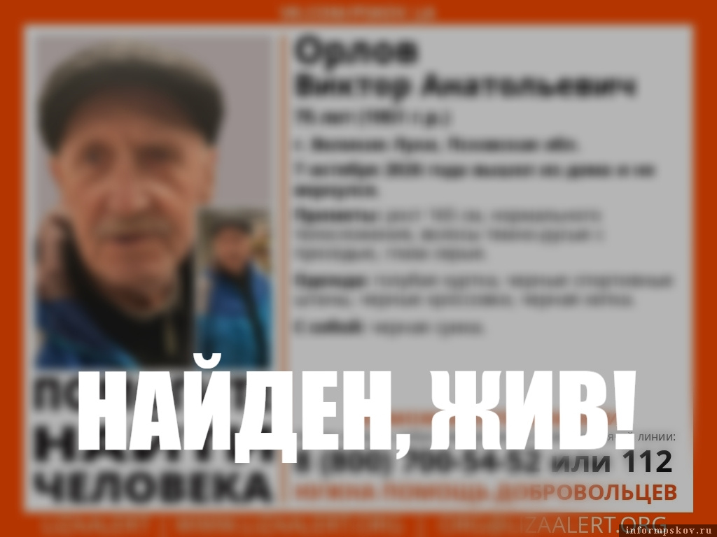 Изображение: группа поискового отряда «ЛизаАлерт» в соцсети «ВКонтакте»