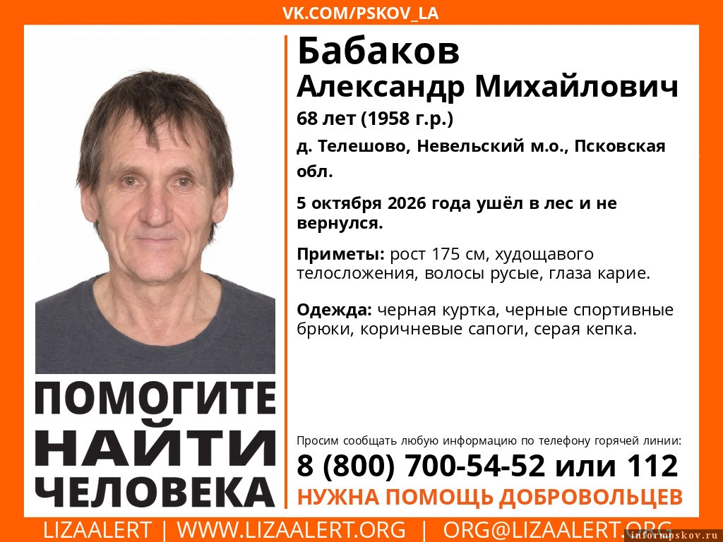 Изображение: группа поискового отряда «ЛизаАлерт» в соцсети «ВКонтакте»