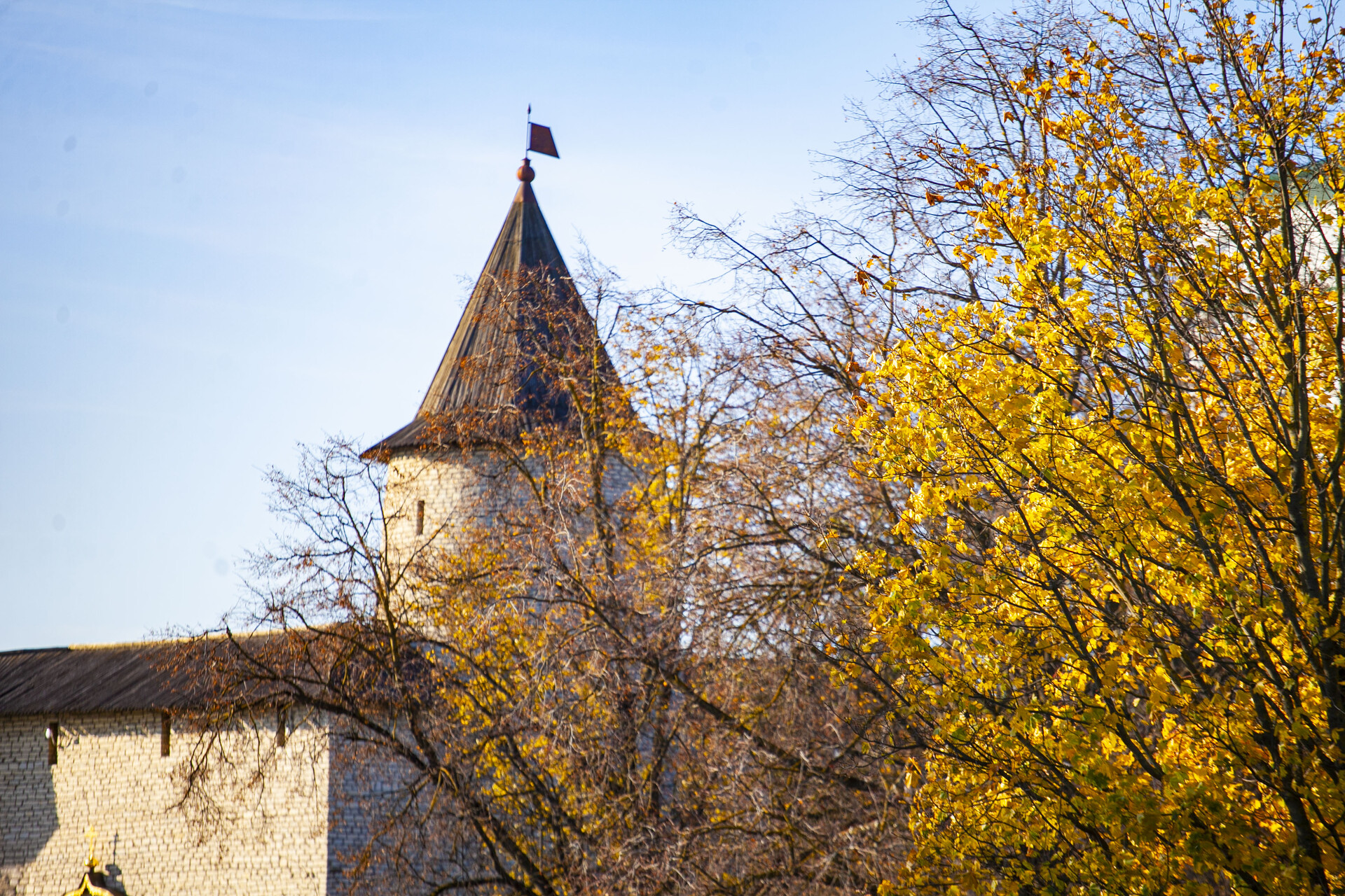 Фото: ПАИ