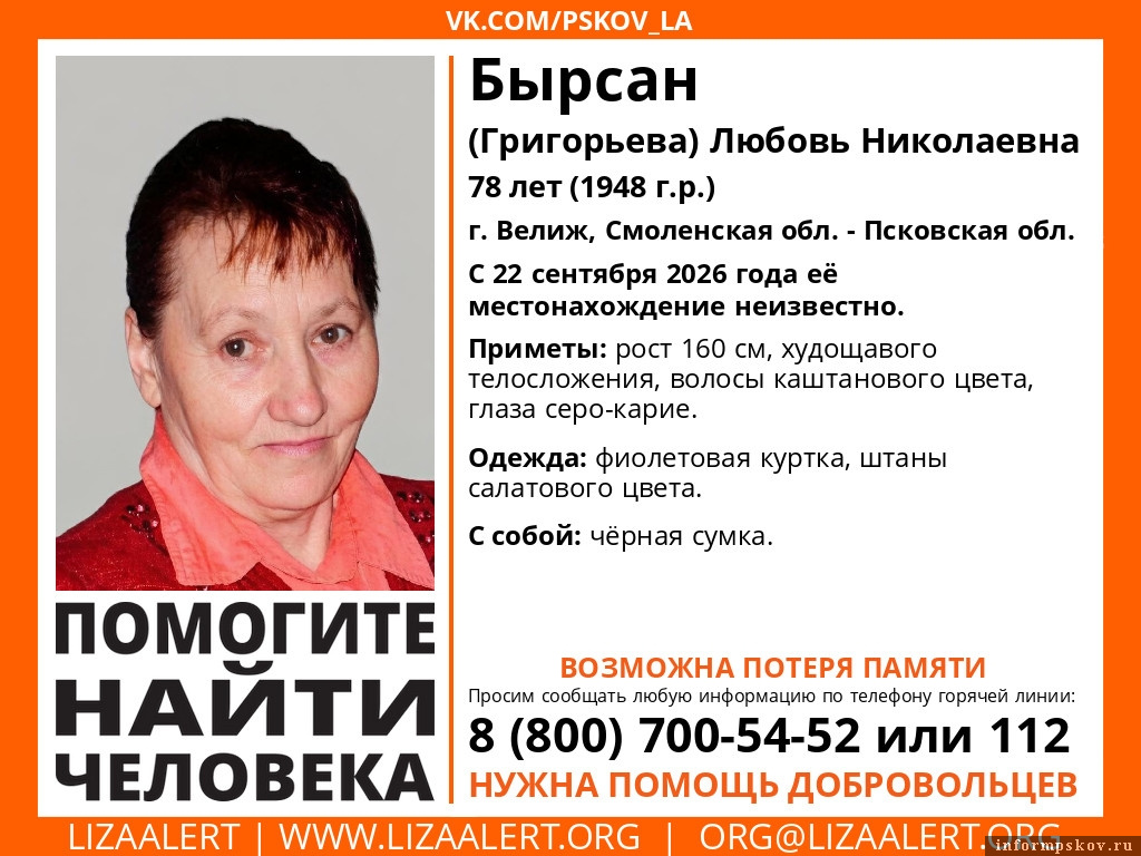Изображение: группа поискового отряда «ЛизаАлерт» в соцсети «ВКонтакте»