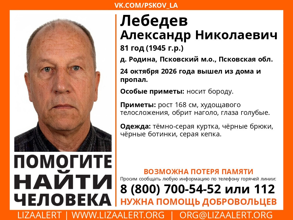 Изображение: группа «ЛизаАлерт. Псковская область» в соцсети «ВКонтакте»