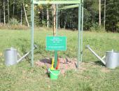 Фестиваль Сергея Довлатова в Пушкинских горах