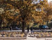 Реконструкция Финского парка