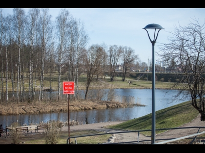 Фонари в дендропарке