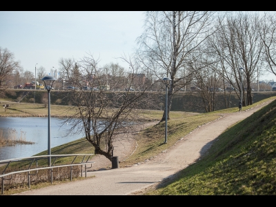 Фонари в дендропарке