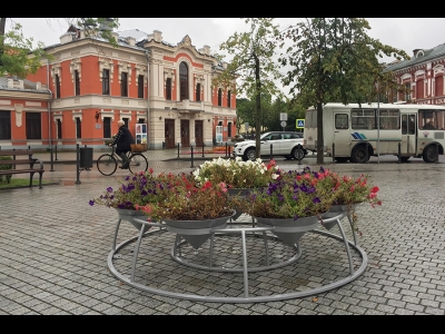 Цветник с петунией у Псковского театра