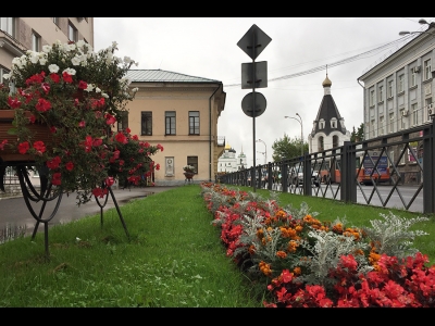 Четыре кита псковских клумб на одной фотографии: в вазонах - петунии, на клумбе узнаваемые бархатцы, цинерария (резные серо-сребряные листы) и красная бегония