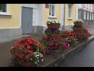 Вазоны у здания Псковской городской Думы