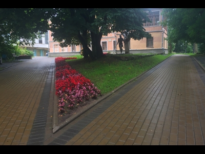 Клумба в Детском парке