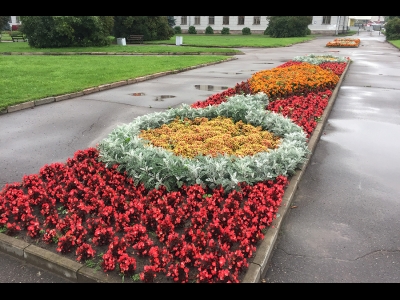 Клумба на площади Ленина