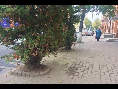 Улица Некрасова