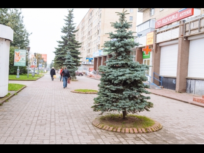 Рижский проспект