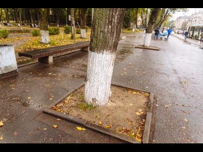 Октябрьский проспект