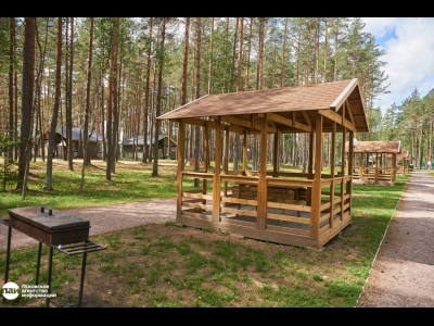 Беседки и мангал для приготовления шашлыка