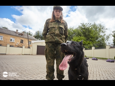 На псковской таможне появился новый сотрудник: подарок французских коллег- немецкая овчарка Матисс. Фото: Дарья Хваткова